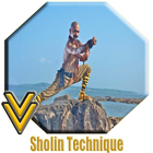 Icona Shaolin Martial Technique