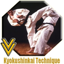 Técnica kyokushinkai APK