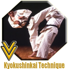 Kyokushin Kaikan Technique ไอคอน