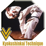 Technik kyokushinkai Zeichen