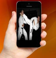 Kyokushin Kaikan Technique โปสเตอร์