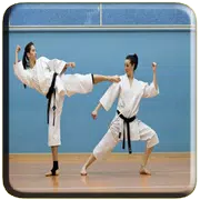 Tecnica del karate