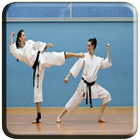 Karate Technique icon