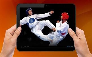 Técnica de Taekwondo captura de pantalla 2