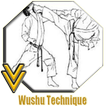 Wushu Technique