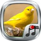 Telolet Kicau Canary ikon