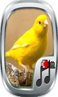 Telolet Kicau Canary ポスター