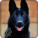 German Shepherd Dog Nice Black App Lock APK