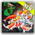 tema 3d ikan koi