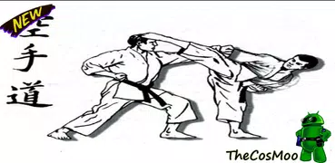 Trick to quickly learn a karate