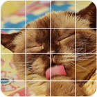 Icona Tile Puzzle-Cat