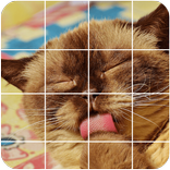 Tile Puzzle-Cat