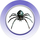 Fun With Spiders icon