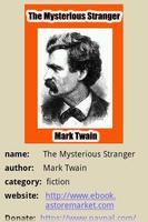 The Mysterious Stranger poster
