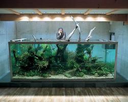 The Modern Aquarium Affiche