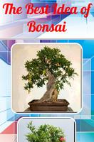 The Best Idea of Bonsai Affiche
