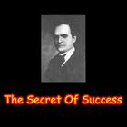 The Secret Of Success icône