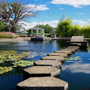 APK The Water Oasis