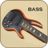 Pro bass guitar (new)