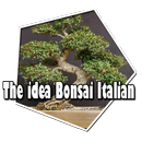 The idea Bonsai Italian APK