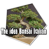The idea Bonsai Italian-icoon