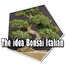 Icona The idea Bonsai Italian