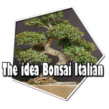 The idea Bonsai Italian icon