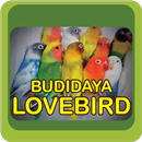 Budidaya Love Bird Mudah APK