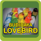 Budidaya Love Bird Mudah icône