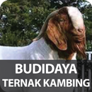 Budidaya Ternak Kambing APK