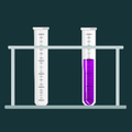 Protein Test