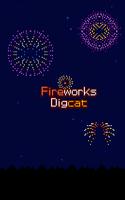 Feuerwerk DigCat Plakat