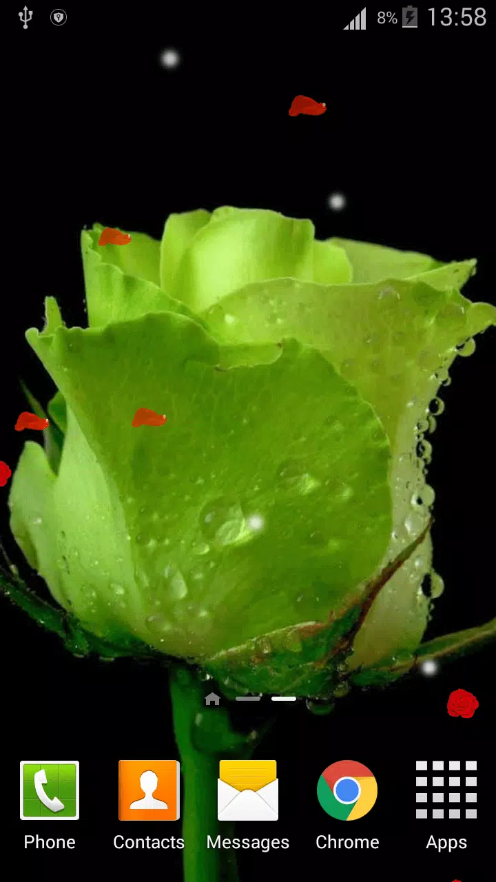 3D Rose Live Wallpaper HD APK for Android Download 3D Rose Live Wallpaper HD APK for Android Download