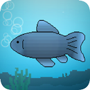 Fishy Evolution APK