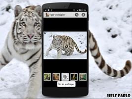 Tiger Wallpapers ภาพหน้าจอ 1