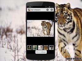 Tiger Wallpapers ภาพหน้าจอ 2