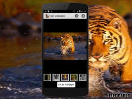 Tiger Wallpapers اسکرین شاٹ 3