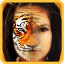 add tiger face to picture-APK