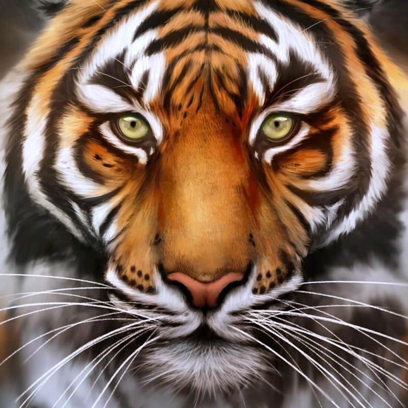 Tigre Papel De Parede Animado Para Android Apk Baixar