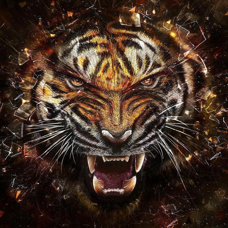 Tigre Papel De Parede Animado APK Baixar - Grátis ...
