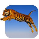 Tygrysy Animowana Tapeta aplikacja