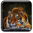 Tigre Fond d'écran animé