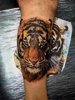 Tiger Tattoo Design imagem de tela 2