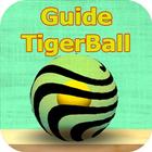 Guide For Tigerball icône