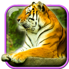 Tigers Live Wallpaper ikon