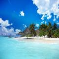 Beach Wallpaper