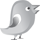 APK BirdX2