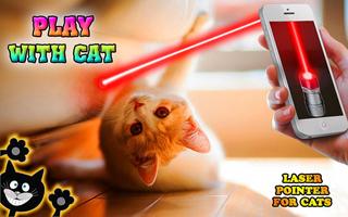 Laser pointer for cats 海報