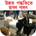 ikon খামারে ছাগল পালন ও চিকিৎসা পদ্ধতি