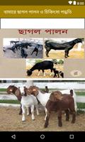 খামারে ছাগল পালন ও চিকিৎসা পদ্ধতি-poster